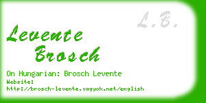 levente brosch business card